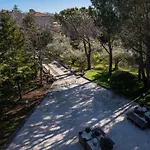 Vila Amon Luxury On Etna *