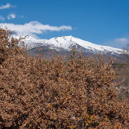 Villa Amon Luxury On Etna Ragalna